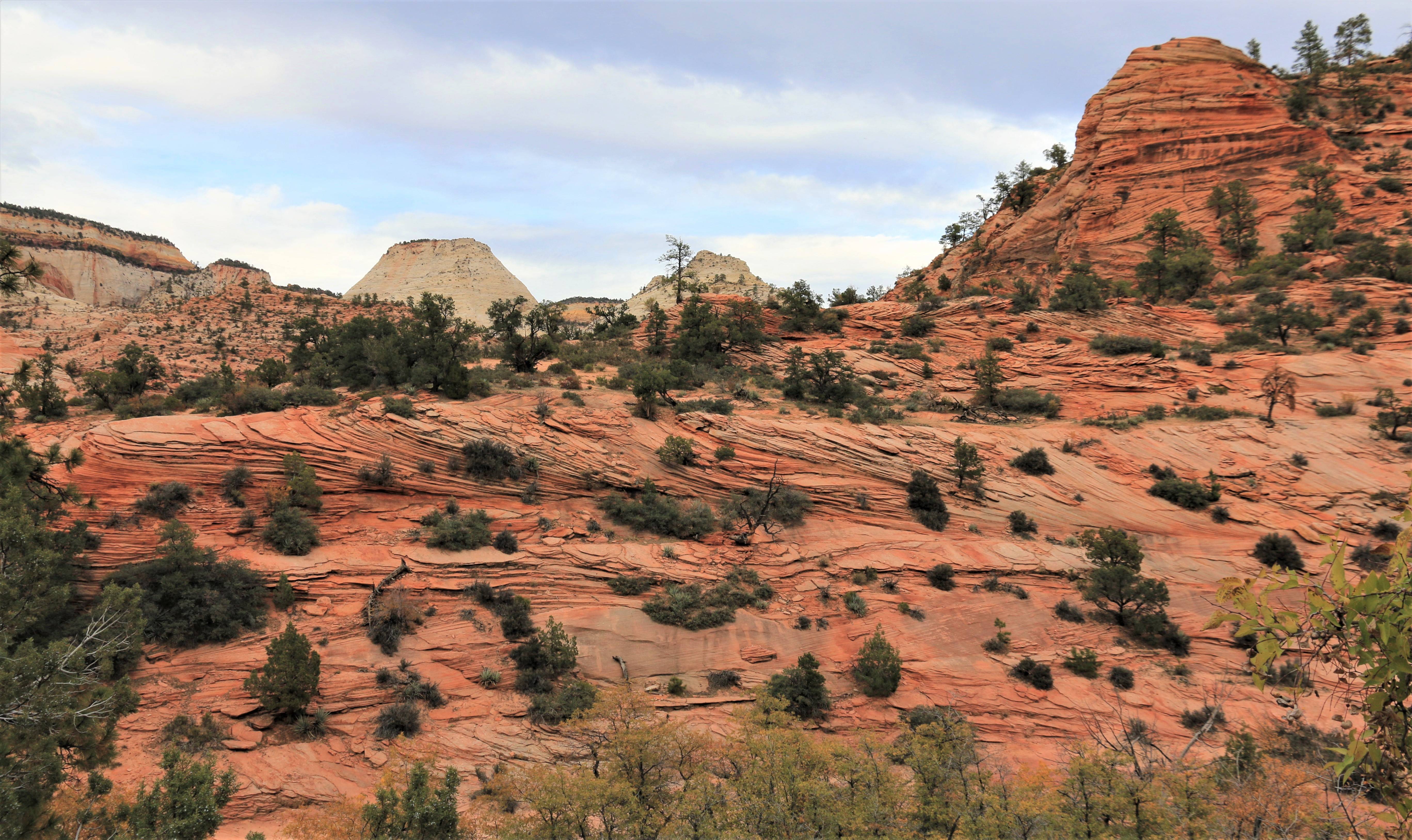 Zion NP